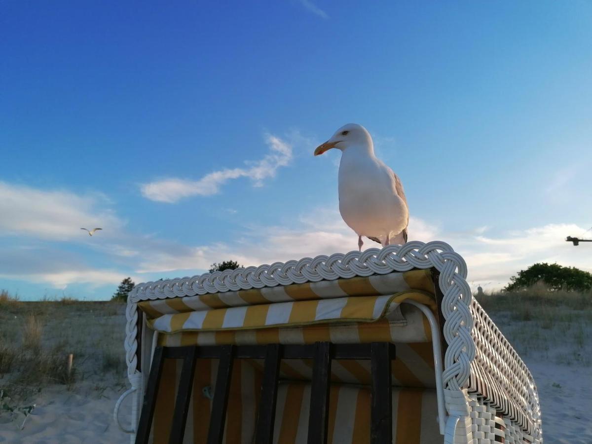 Ferienwohnung Strandburg Heringsdorf  Kültér fotó